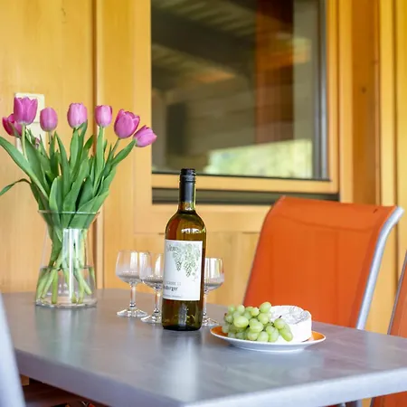 Bergnest Salvenblick Appartement