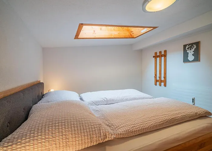 Bergnest Salvenblick * Soll